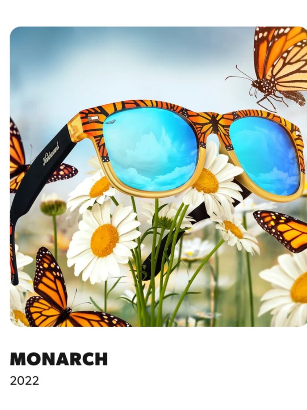 Knockaround sunglasses - Monarch